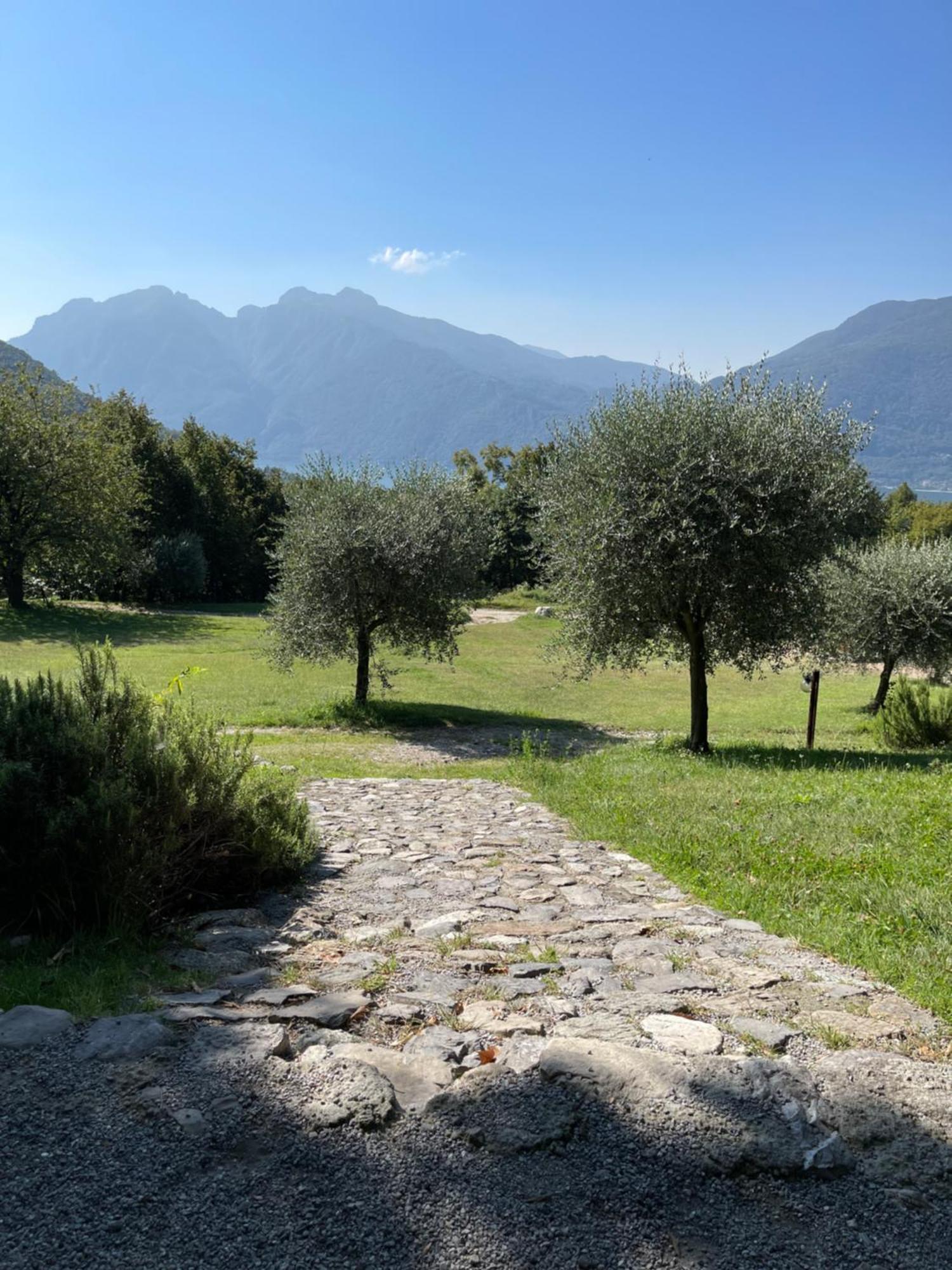 Agriturismo La Selvaggia Mandello del Lario Dış mekan fotoğraf