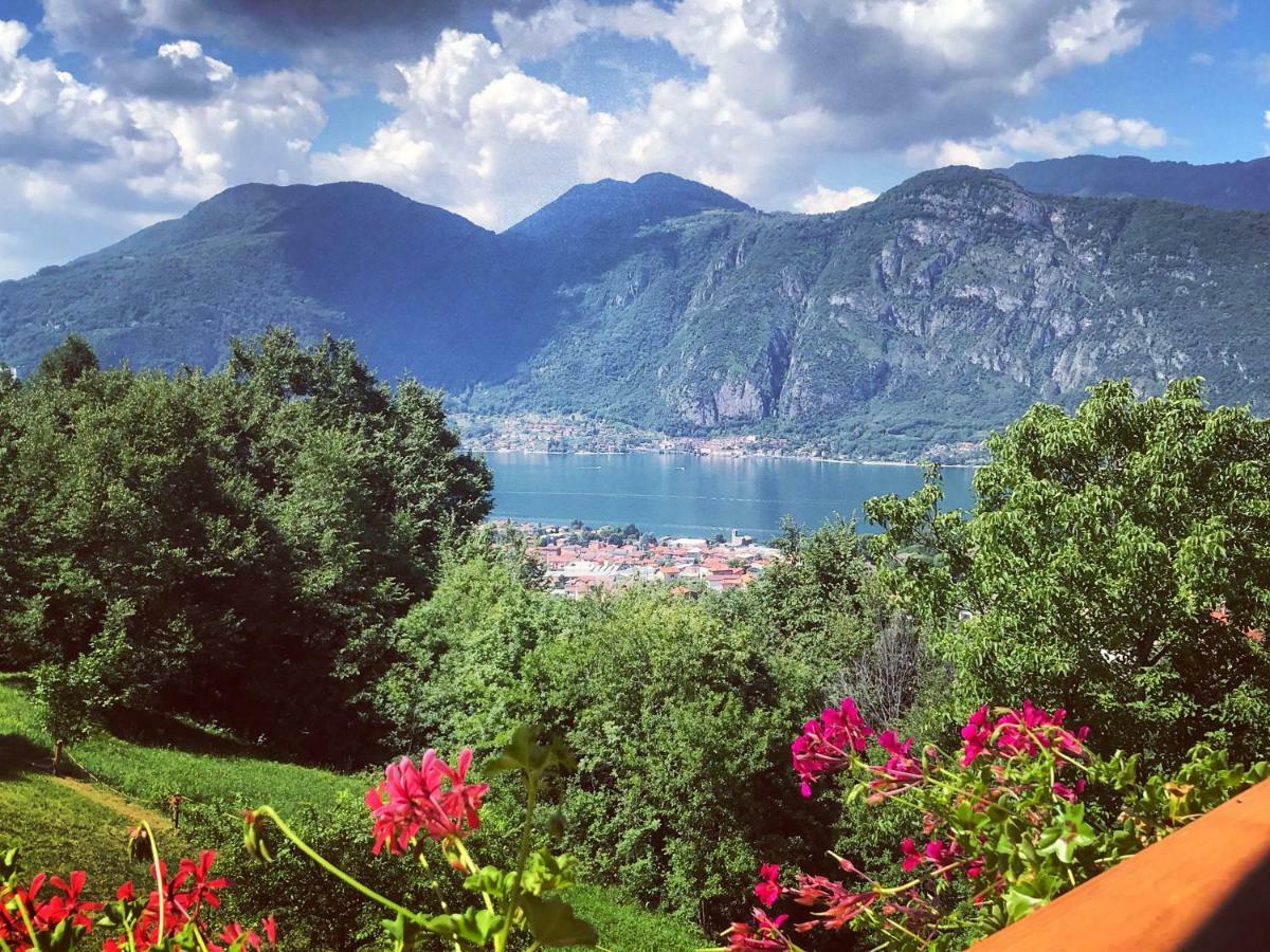 Agriturismo La Selvaggia Mandello del Lario Dış mekan fotoğraf